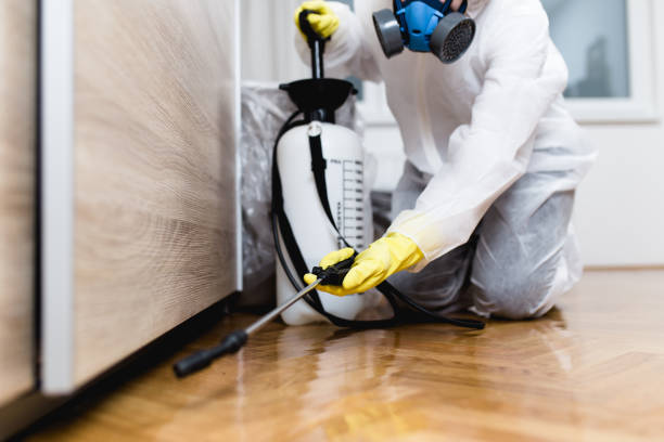 Best Affordable Pest Control Services  in Eureka Mill, SC